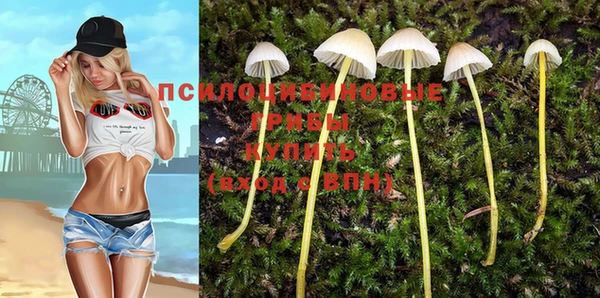 тгк Алексин