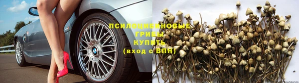 ГАЛЛЮЦИНОГЕННЫЕ ГРИБЫ Алексеевка