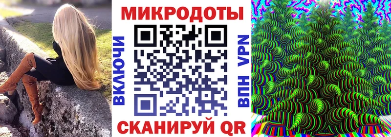 Галлюциногенные грибы Psilocybine cubensis  Абаза 
